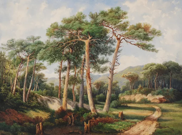 Arthur Calame — Waldweg