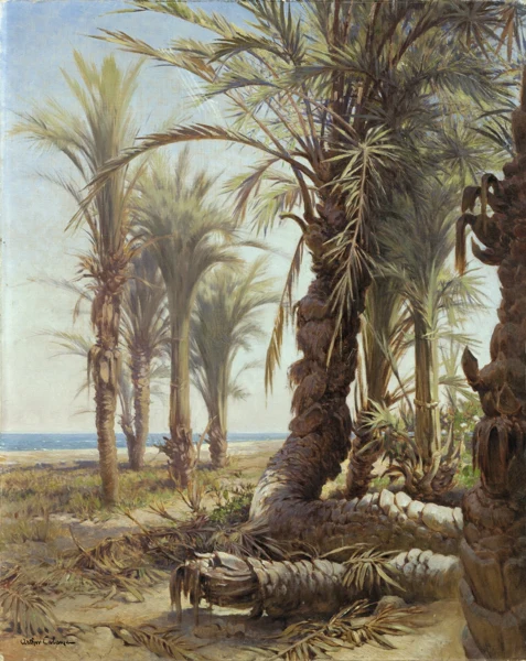 Arthur Calame — Palmiers de Bordighera