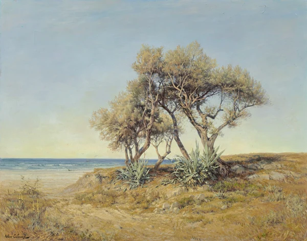 Arthur Calame — Les sables de Vintimille