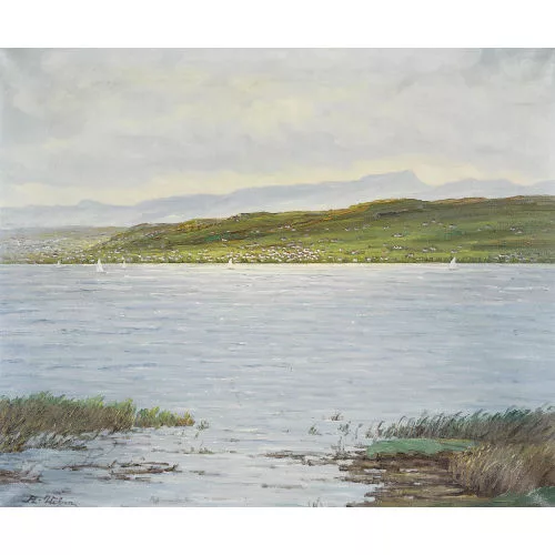 August Weber — Uferpartie am oberen Zürichsee.