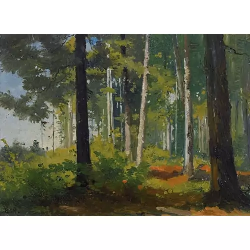 "Forêt de Sapin"