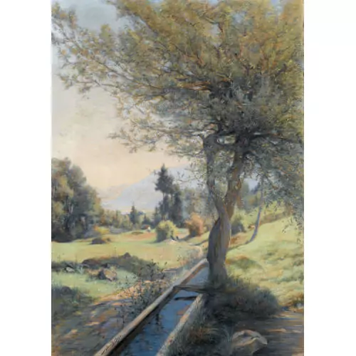 Sommerlicher Weg mit Tränke