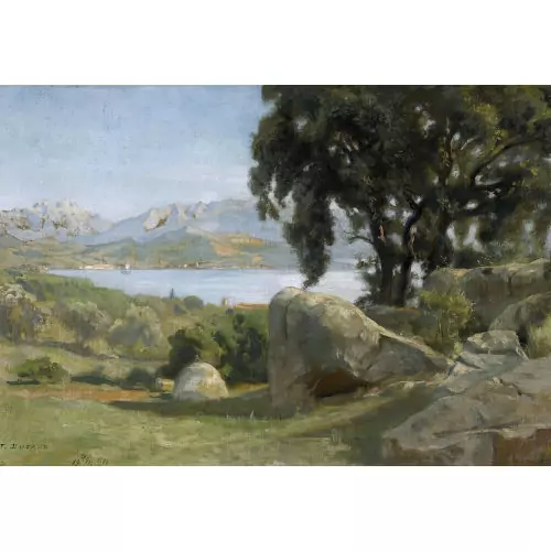 Sommerliche Uferlandschaft