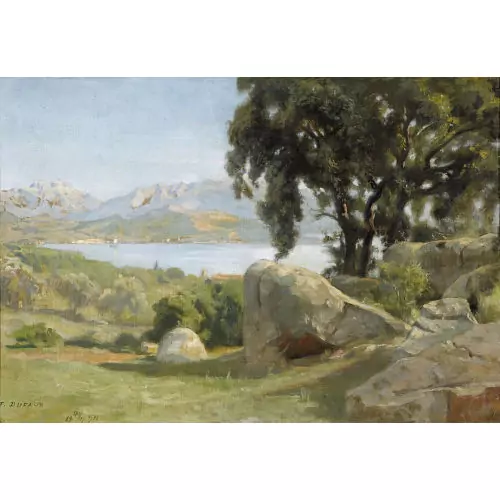Sommerliche Uferlandschaft