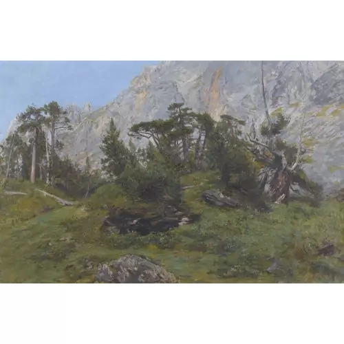 Gebirgspartie mit Nadelbäumen