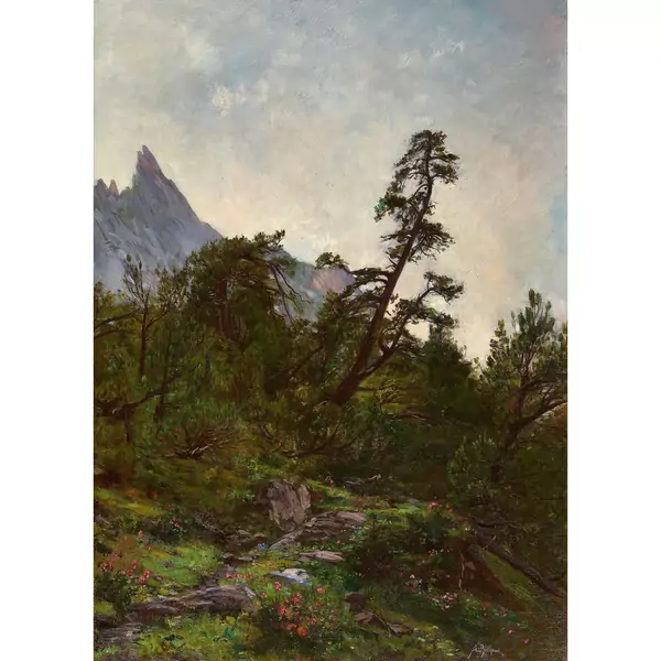 "Pins maritimes des montagnes napolitaines"
