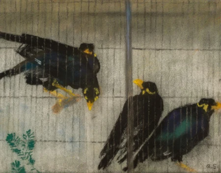 Grau und Schwarz, 1938
