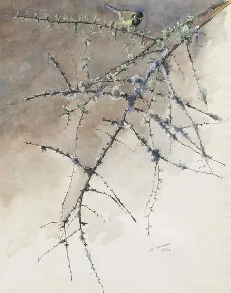 AUGUSTO GIACOMETTI — Meise auf Ast. 1895. — Koller Auktionen