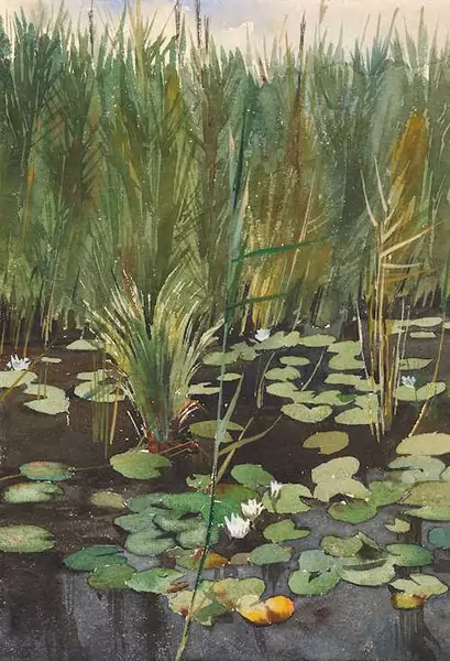 AUGUSTO GIACOMETTI — Waterlilies. — Koller Auktionen