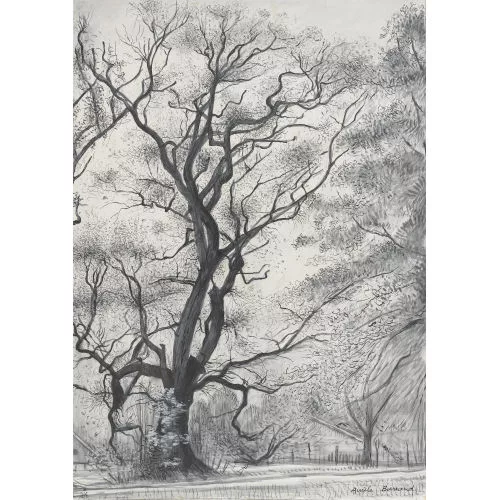 Aurèle Barraud — "L′arbre".