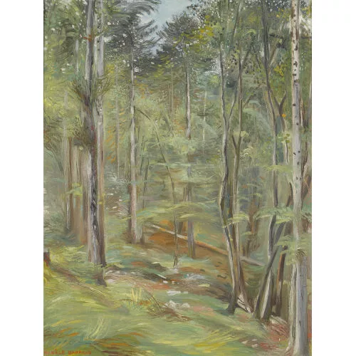 Aurèle Barraud — "Sous-Bois".