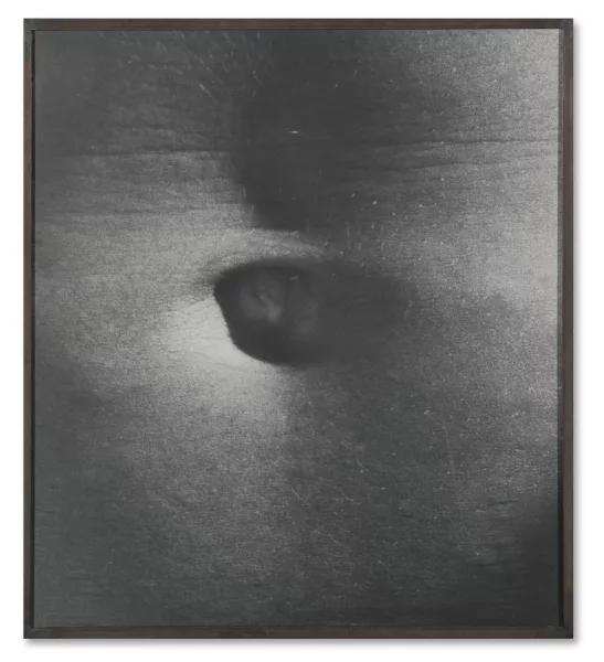 Balthasar Burkhard — Nabel, 1988