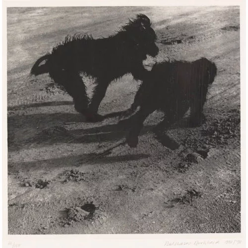 Balthasar Burkhard — Chica und Tzara.