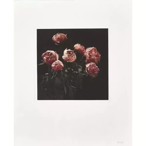 "Flowers"