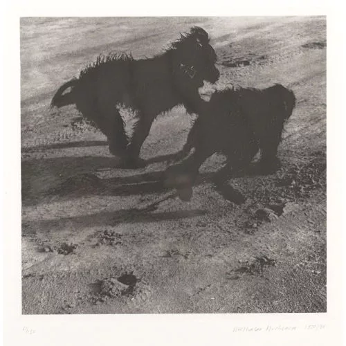 Balthasar Burkhard — "Chica und Tzara".