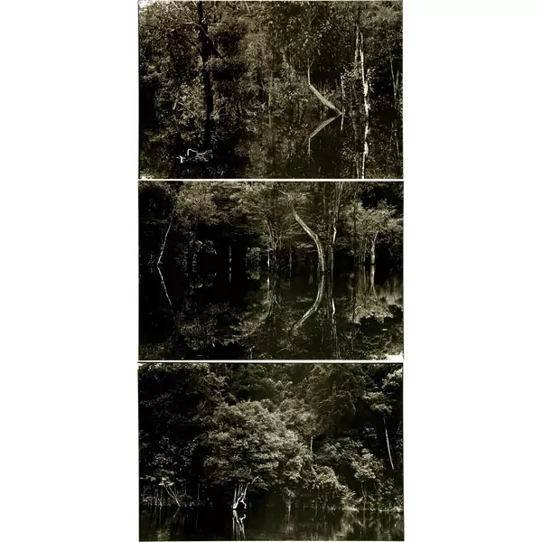 Balthasar Burkhard — Rio Negro 53-54-55 — Galerie Kornfeld