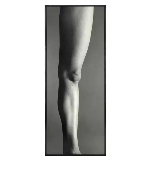 Balthasar Burkhard — Jambe — Galerie Kornfeld