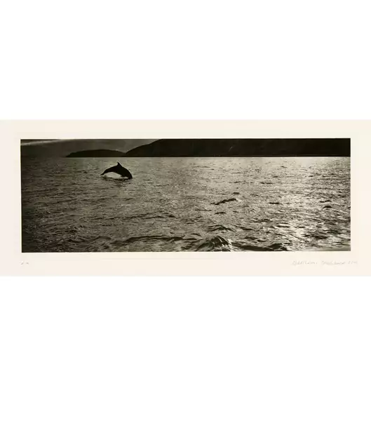 Balthasar Burkhard — Schottland. - Schottland — Galerie Kornfeld