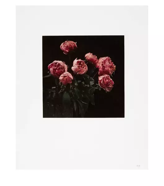 Balthasar Burkhard — Flowers — Galerie Kornfeld