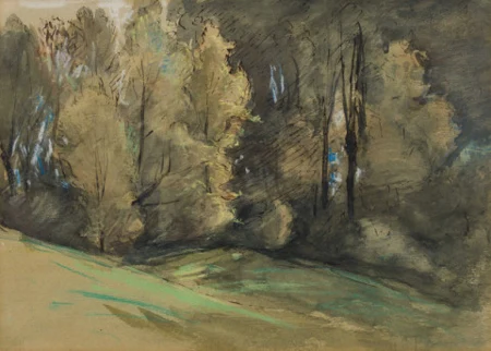Lisière de bois