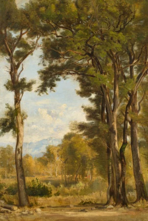 La clairière