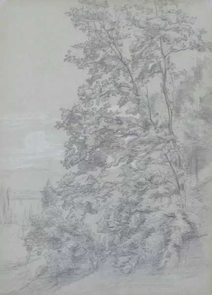 Barthélémy Menn (1815-1893) — Genève Enchères