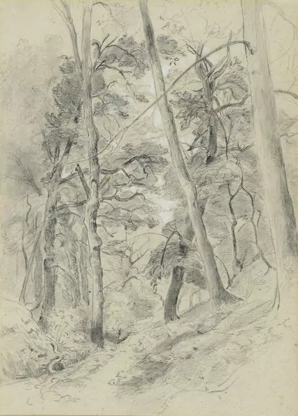 Attribué à Barthélemy Menn (1815-1893) — Genève Enchères