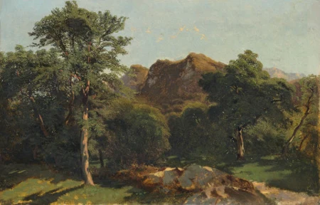 Paysage