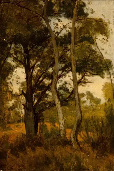 Landschaft mit Bäumen