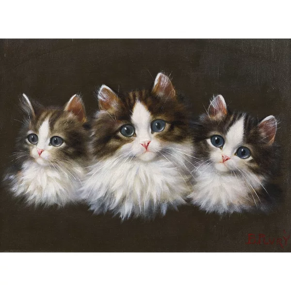 Burkhard Flury genannt Katzen-Flury — Porträt dreier Kätzchen.