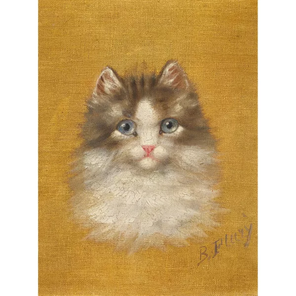 Burkhard Flury genannt Katzen-Flury — Katze.