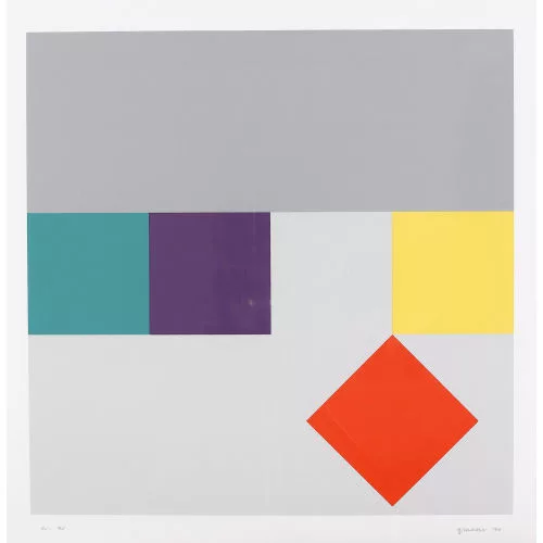 Camille Graeser — Translokation III.