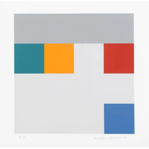 Camille Graeser — Translokation.