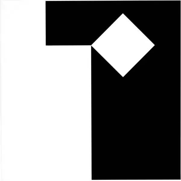 Camille Graeser — 2 Volumen 1:1 — Galerie Kornfeld