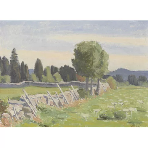 Carl Bieri — Juraweide bei Montfaucon mit Steinmäuerchen.