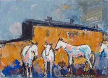 Camargue