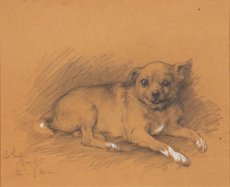 Kleiner Hund Uli, 1895