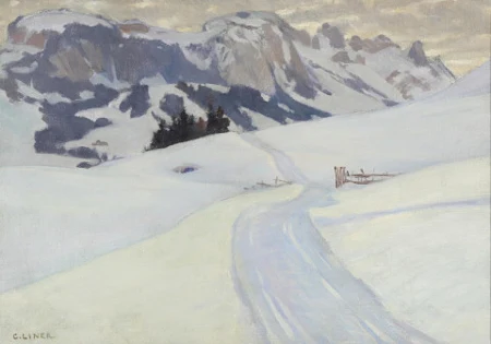 Appenzeller Winterlandschaft