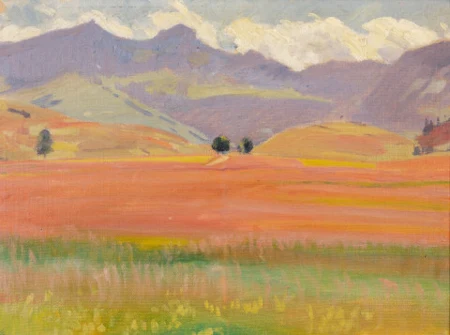 Appenzeller Sommerlandschaft