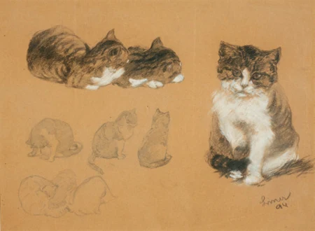Katzenstudie, 1894