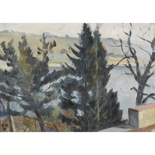 "Baumgruppe am Rhein in Diessenhofen"