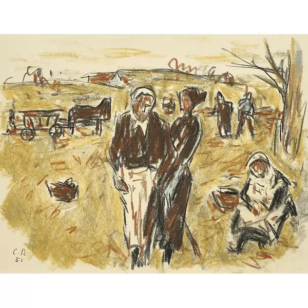 Auf dem Feld