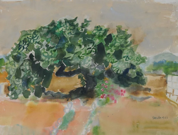 Carlotta Stocker — Richtiger Künstler: Hans Stocker Feigenbaum in Cala Bona, 1963