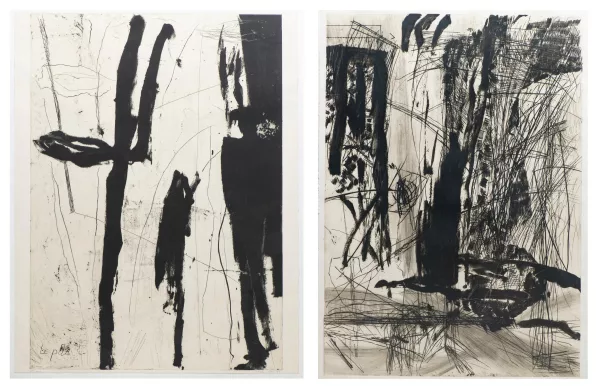 Catherine Bolle — Catherine BOLLE (1956), deux grandes oeuvres noir & blanc