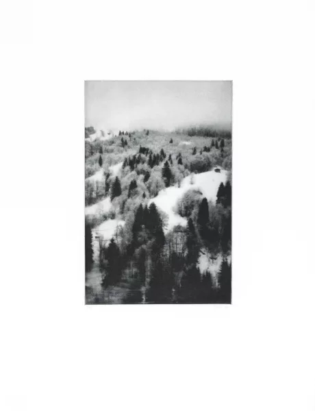 Cécile Wick — 3 Blätter: Wald I - III, 2000