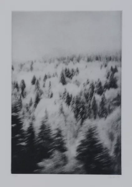 Cécile Wick — 2 Blätter: Ohne Titel, 2000 (2)