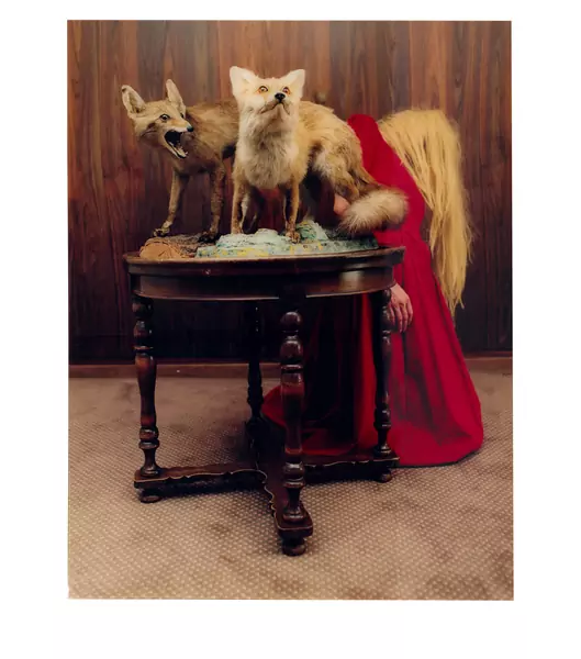 Chantal Michel — Ohne Titel (Füchse) — Galerie Kornfeld