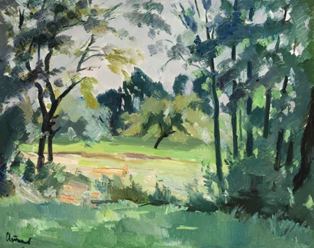 Paysage