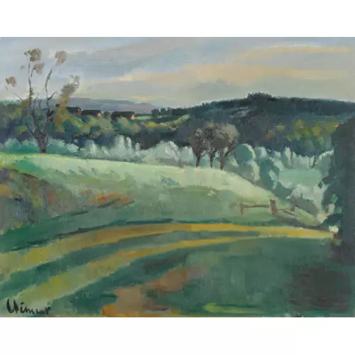 Hügelige Landschaft mit Weg