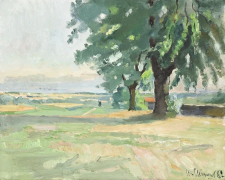 Paysage vaudois